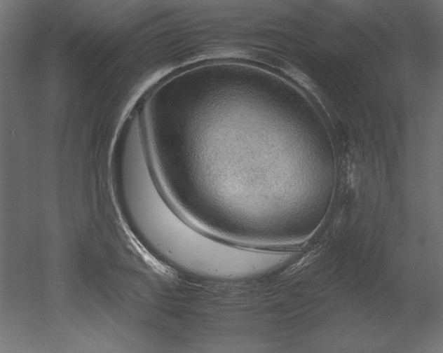 X0000051911127200507011526