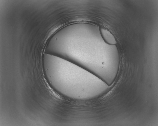 X0000051911129200507011526