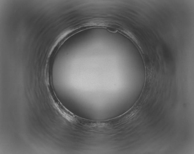 X0000051911131200507011526