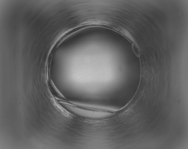 X0000051911132200507011526