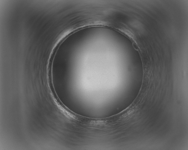 X0000051911135200507011527