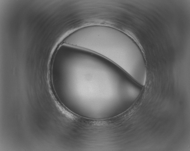 X0000051911136200507011527