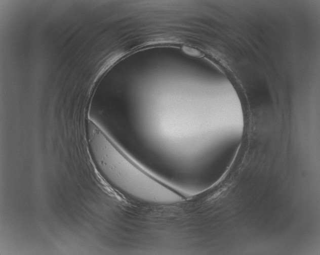 X0000051911137200507011527