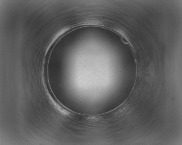 X0000051911139200507011527