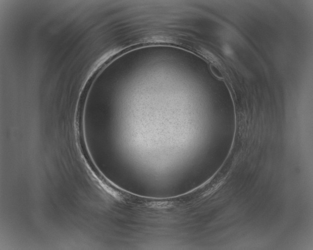 X0000051911141200507011527