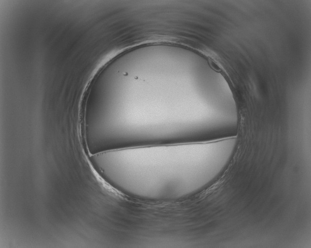 X0000051911143200507011527