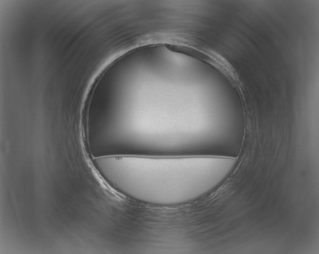 X0000051911144200507011527