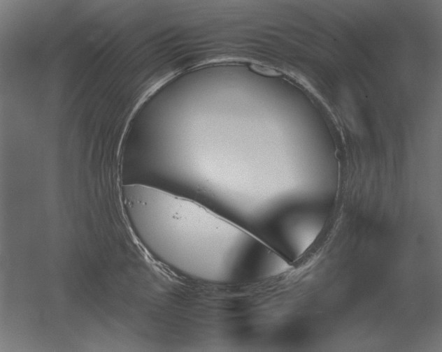 X0000051911145200507011527