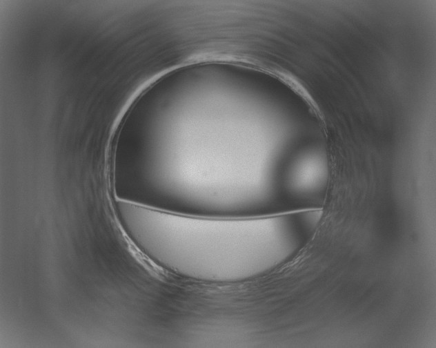 X0000051911148200507011527