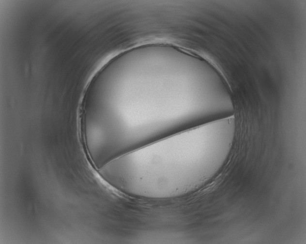 X0000051911151200507011527