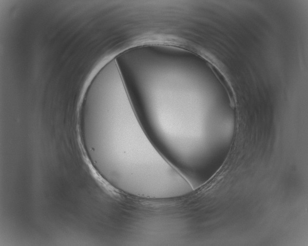 X0000051911152200507011527