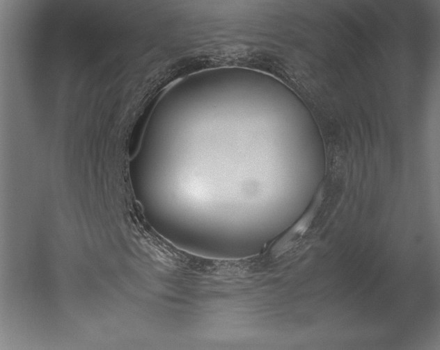 X0000051911153200507011526