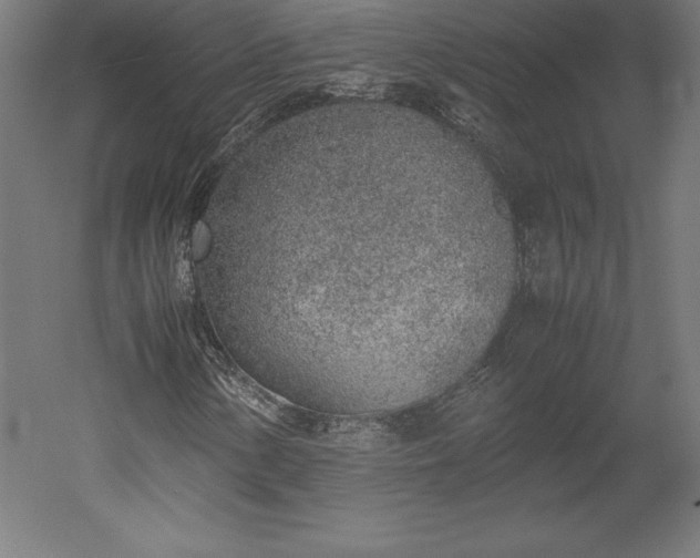 X0000051911154200507011526