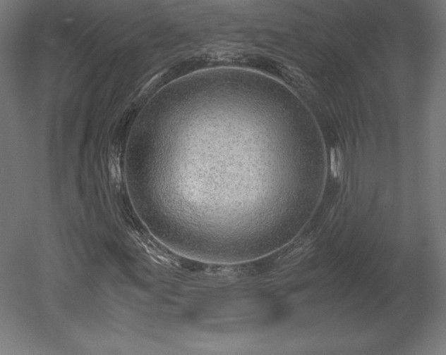 X0000051911155200507011526