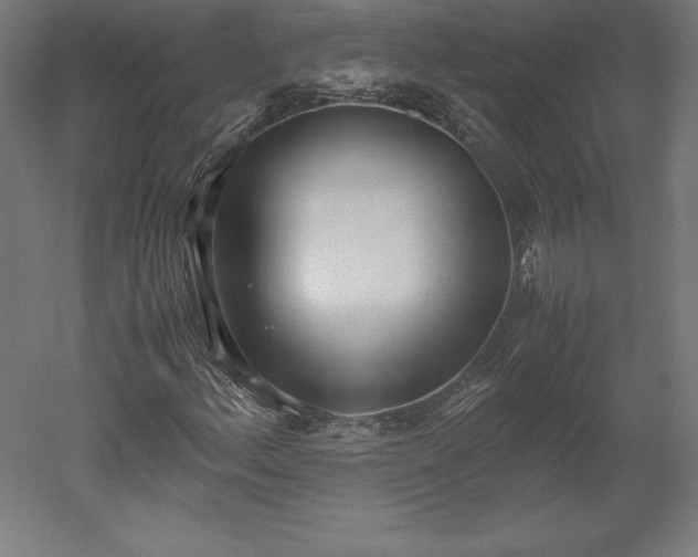 X0000051911156200507011526