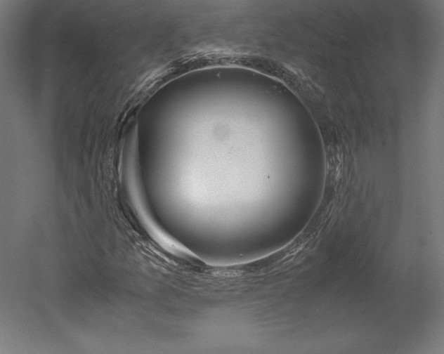 X0000051911157200507011526