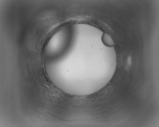 X0000051911158200507011526