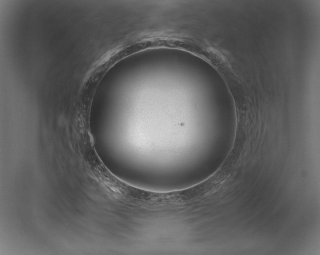 X0000051911159200507011526