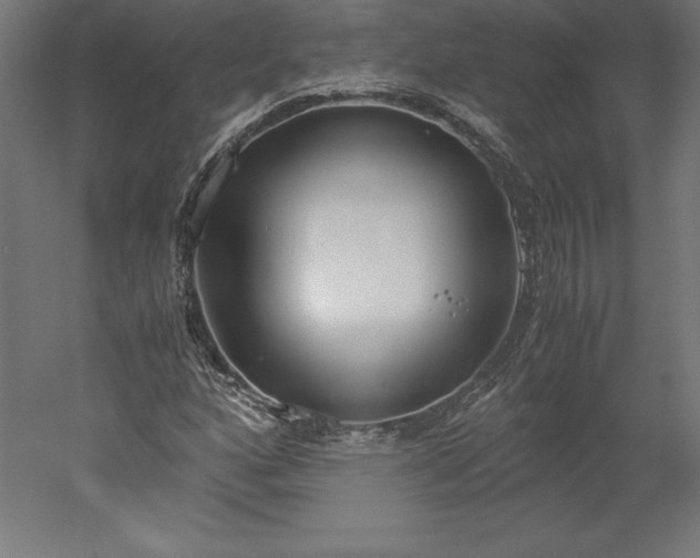 X0000051911160200507011526