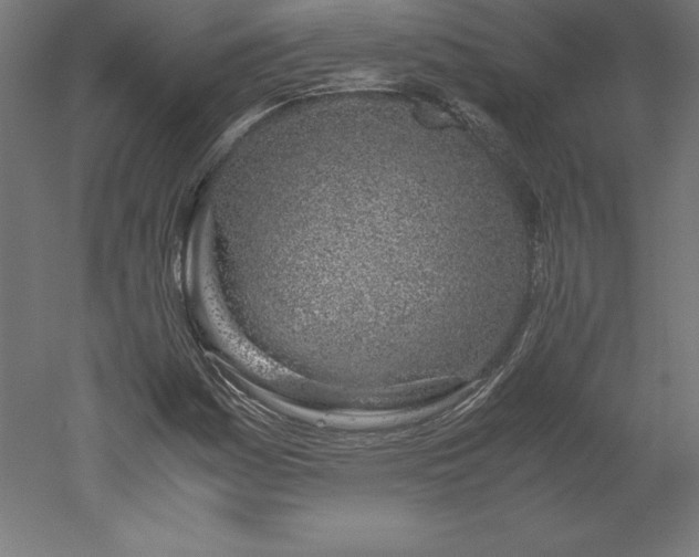 X0000051911161200507011526