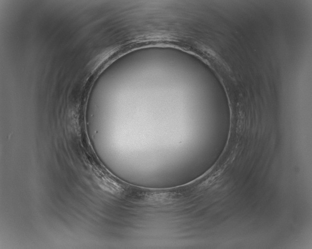 X0000051911162200507011526