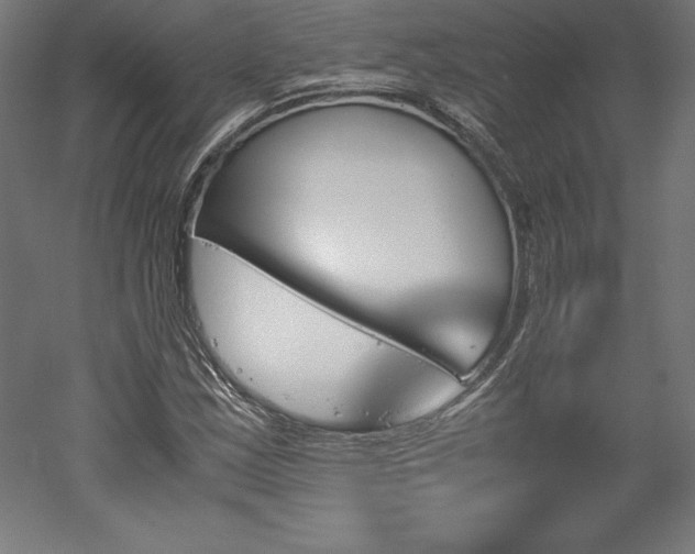 X0000051911163200507011526