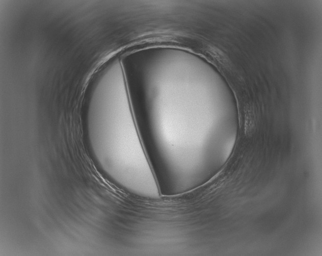 X0000051911164200507011526