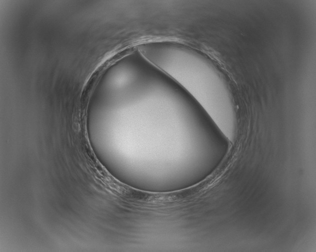 X0000051911165200507011526