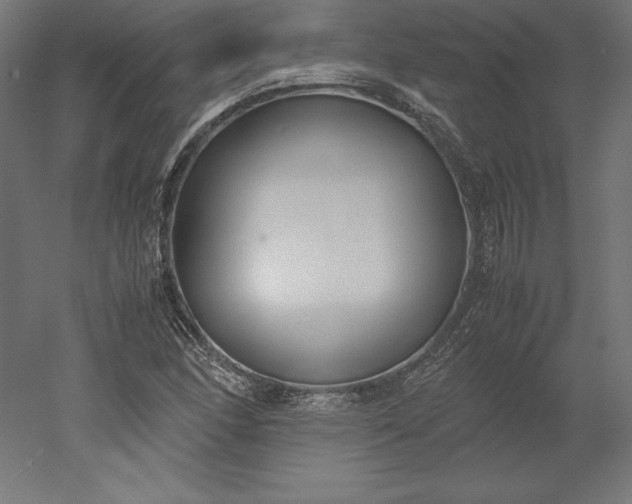 X0000051911166200507011526