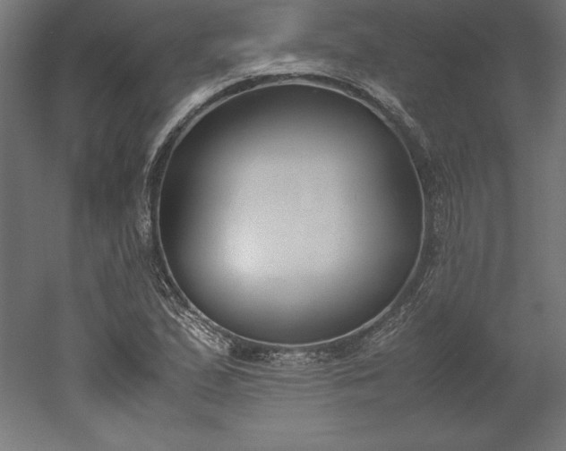 X0000051911167200507011526