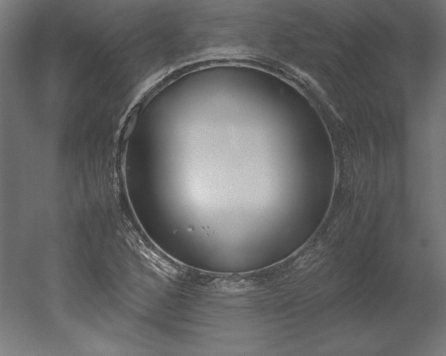 X0000051911168200507011526