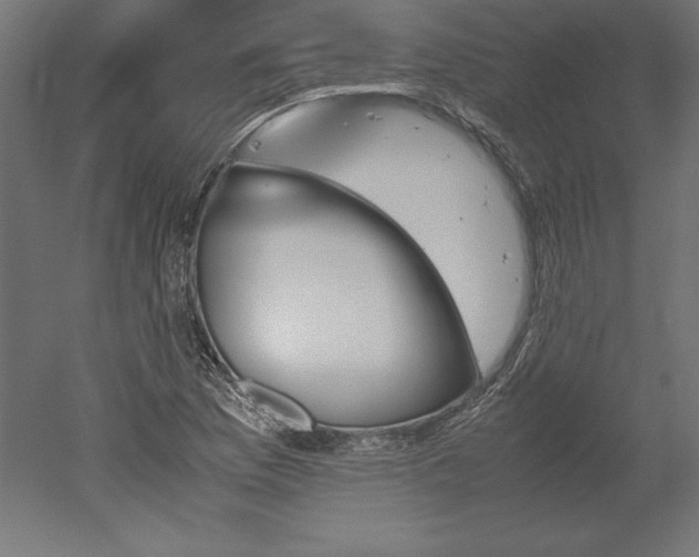 X0000051911169200507011526