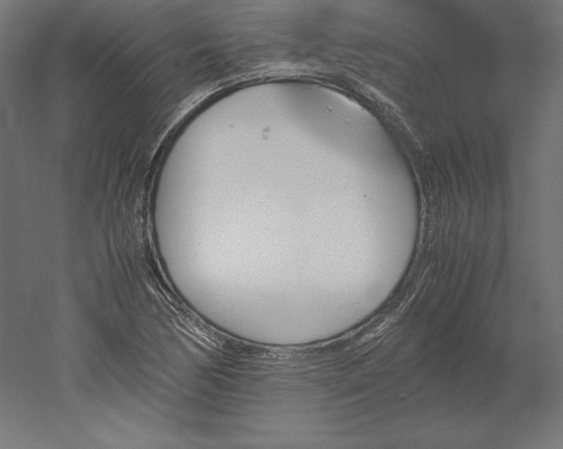 X0000051911170200507011526