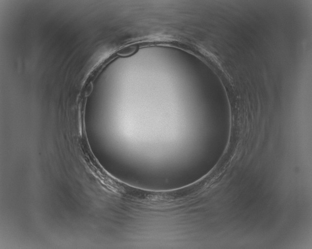 X0000051911171200507011526