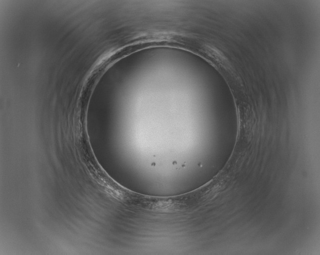 X0000051911172200507011526