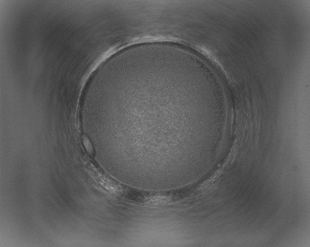 X0000051911173200507011526