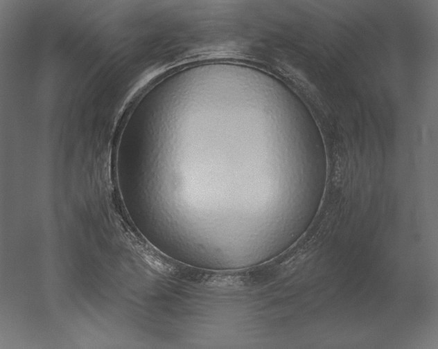 X0000051911174200507011526