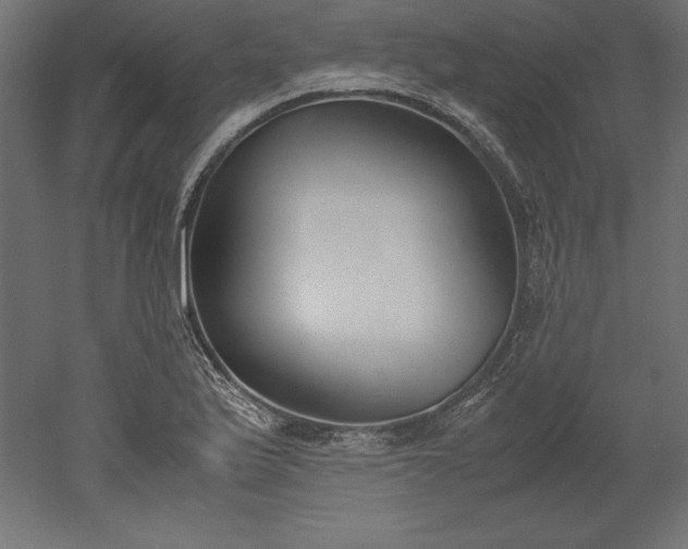 X0000051911175200507011526