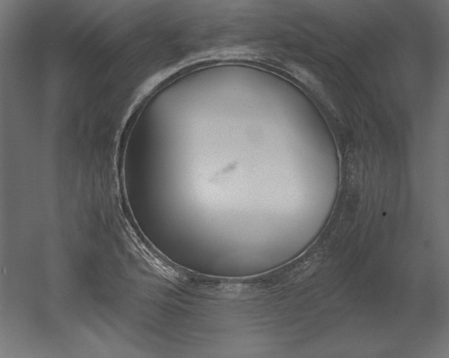 X0000051911176200507011526