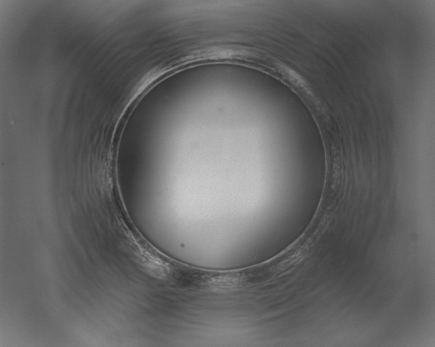 X0000051911178200507011526