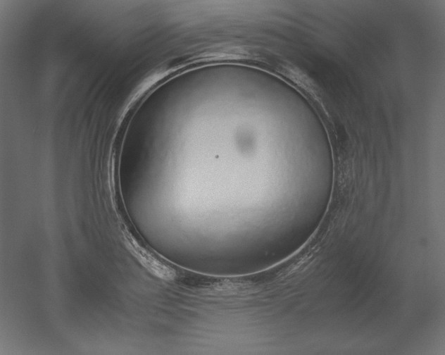 X0000051911179200507011526