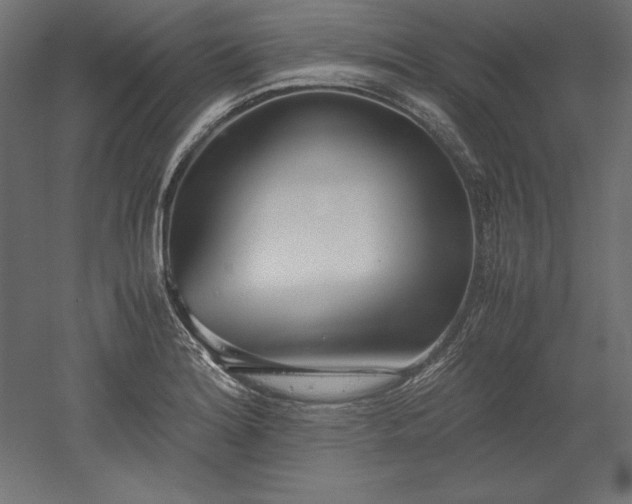 X0000051911180200507011526