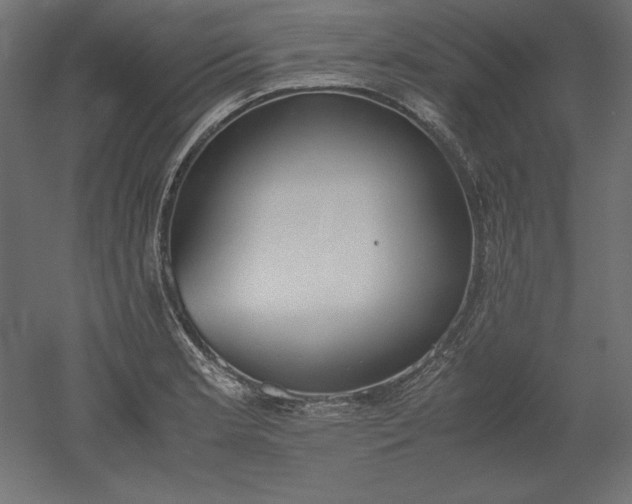 X0000051911181200507011526