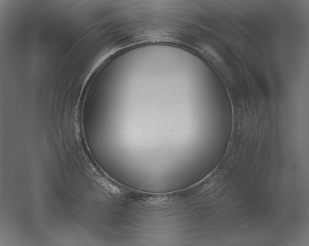 X0000051911182200507011525