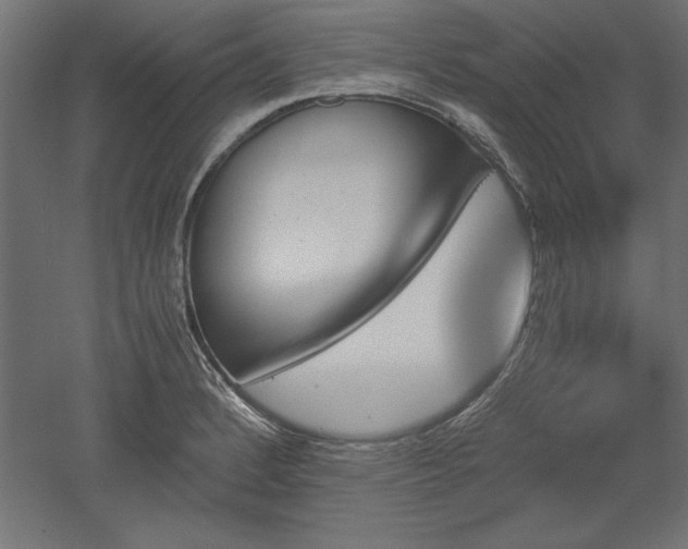 X0000051911184200507011525