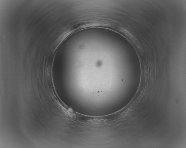 X0000051911185200507011525