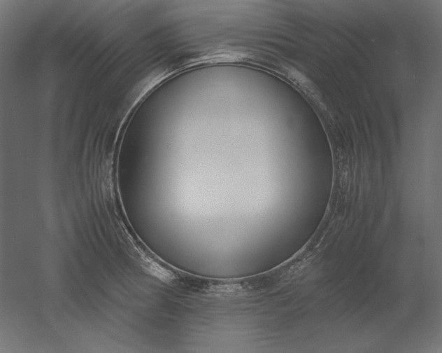 X0000051911186200507011525