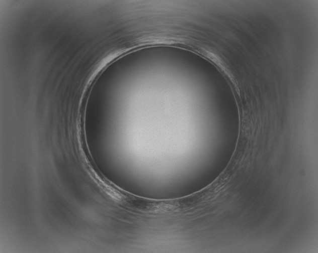 X0000051911187200507011525