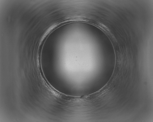 X0000051911188200507011525