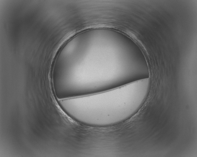 X0000051911189200507011525